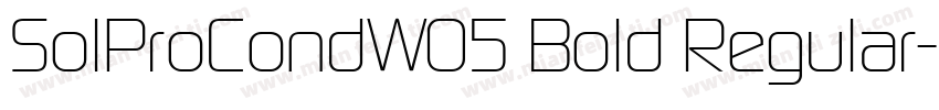 SolProCondW05 Bold Regular字体转换